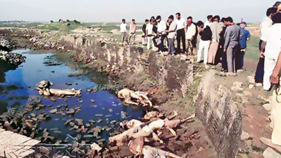 স্বাধীনতাসংগ্রাম: উত্তর প্রজন্মের উপলব্ধি