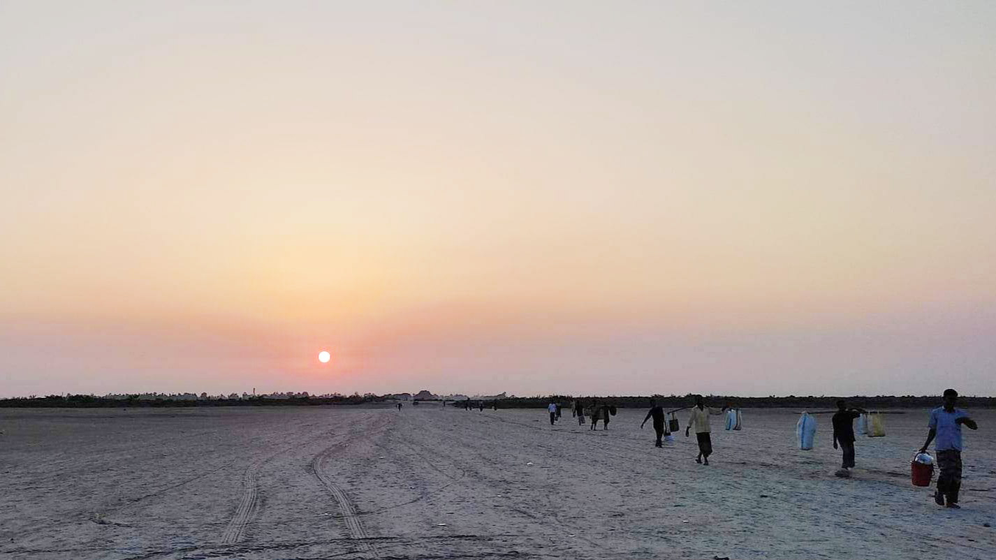 শীতেও ঘামেন চরের কৃষক