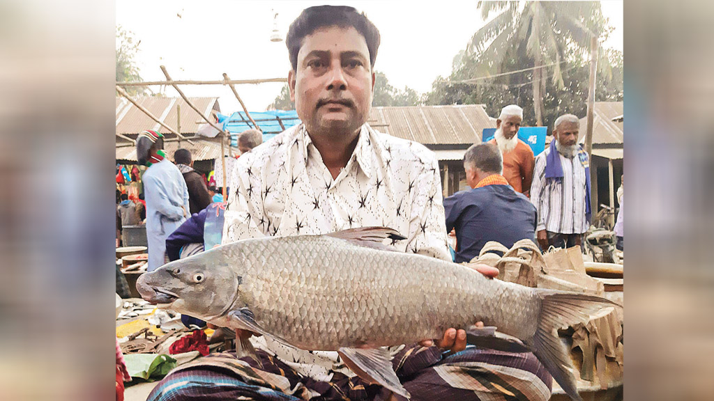 গঙ্গাধরে মহাবিপন্ন মহাশোল