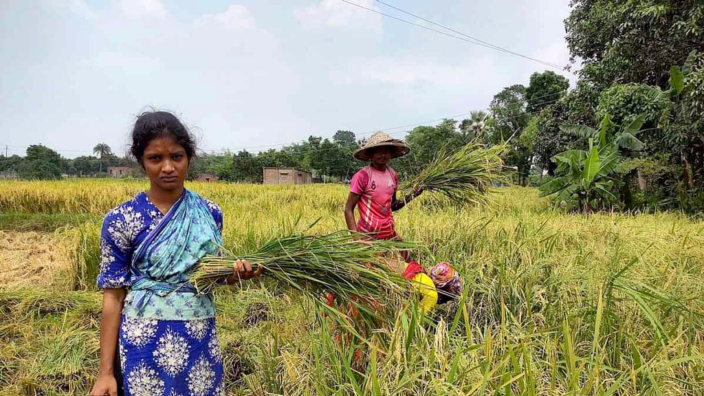 বিশ্ববিদ্যালয়পড়ুয়া নীলমণি এখনো পুরোদস্তুর কিষানি