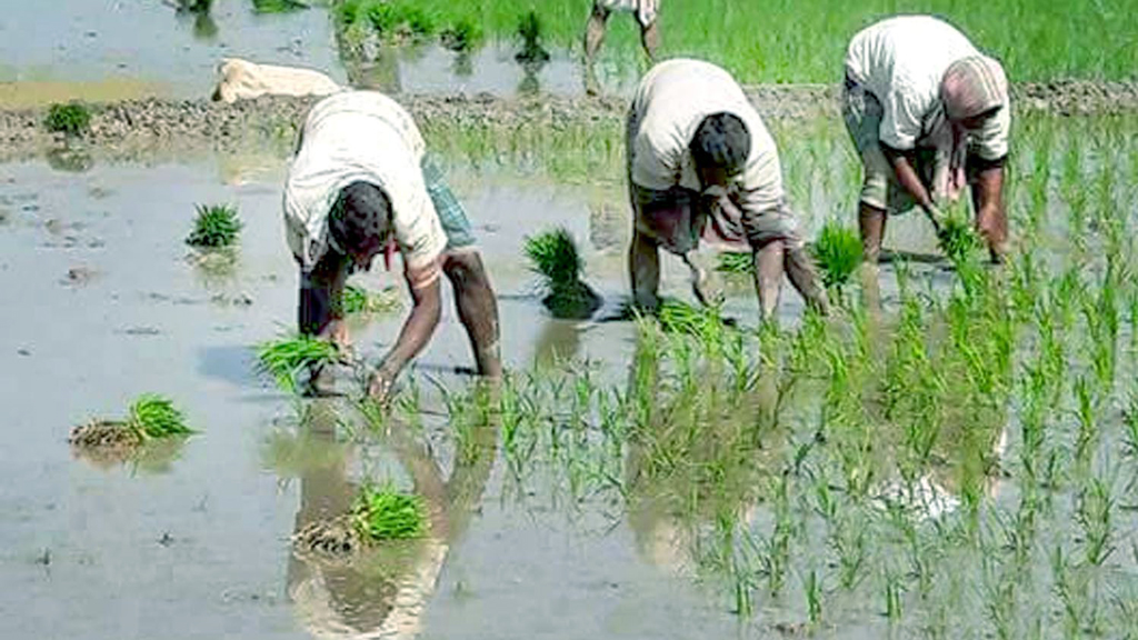 উৎপাদন বাড়ানোর পক্ষে সবাই