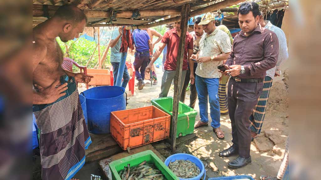 চিংড়িতে জেলি পুশের দায়ে ব্যবসায়ীকে কারাদণ্ড