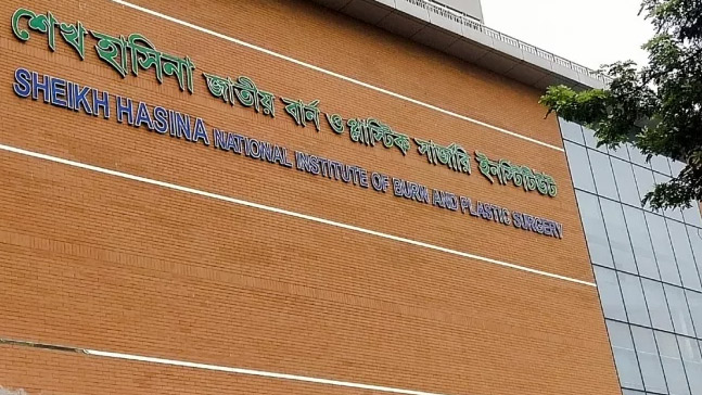 নারায়ণগঞ্জের দগ্ধ স্ত্রী মারা গেছেন, এখনো চিকিৎসাধীন স্বামী