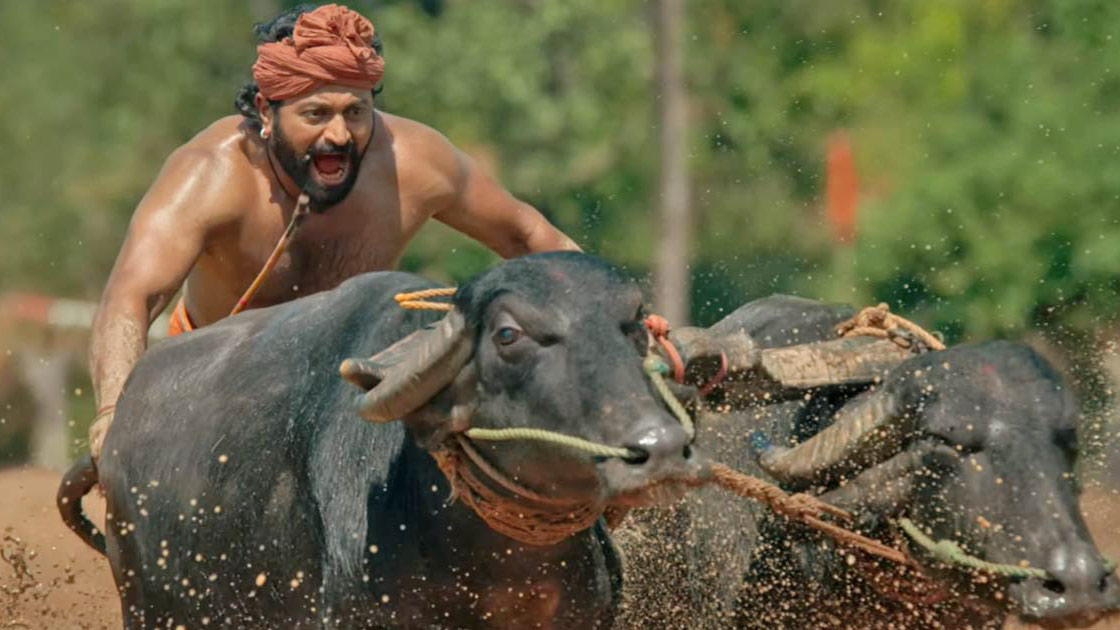 বলিউডের অফার প্রত্যাখ্যান করলেন দক্ষিণের ঋষভ