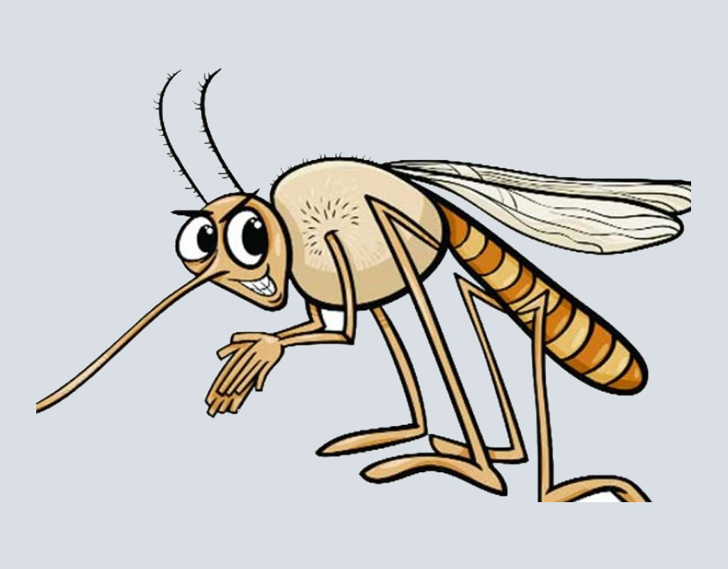 মশার কামড়ে অতিষ্ঠ রংপুরবাসী