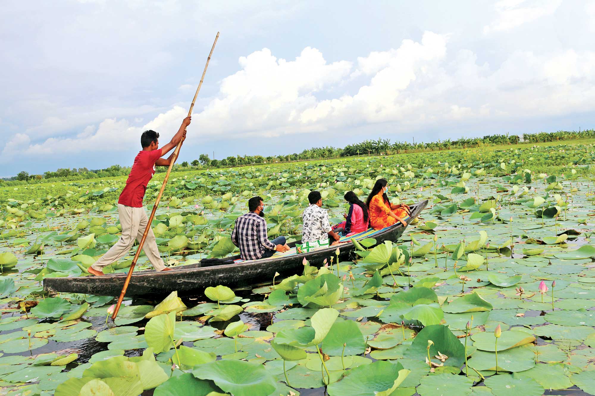 বাহ্‌! কী সুন্দর!