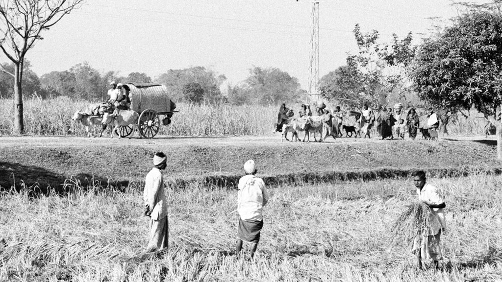 কৃষকের মুক্তিযুদ্ধ, কৃষকের বিজয়