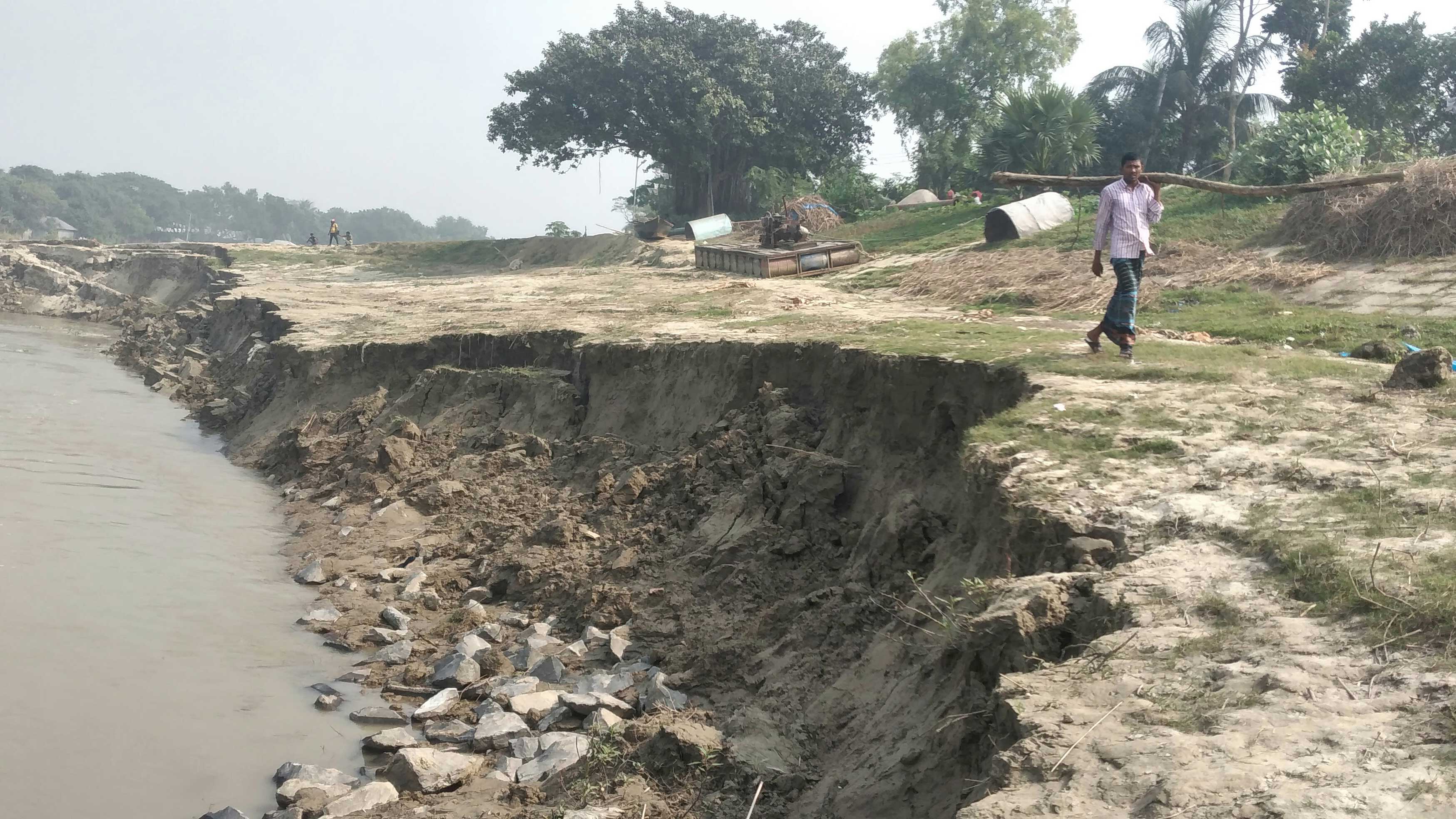 পদ্মায় অসময়ের ভাঙনে  ৭০০ বিঘা জমি বিলীন