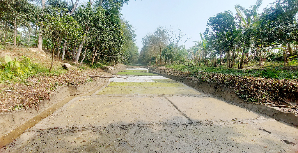 দিনের ছবি (০৪ ফেব্রুয়ারি, ২০২৩) 