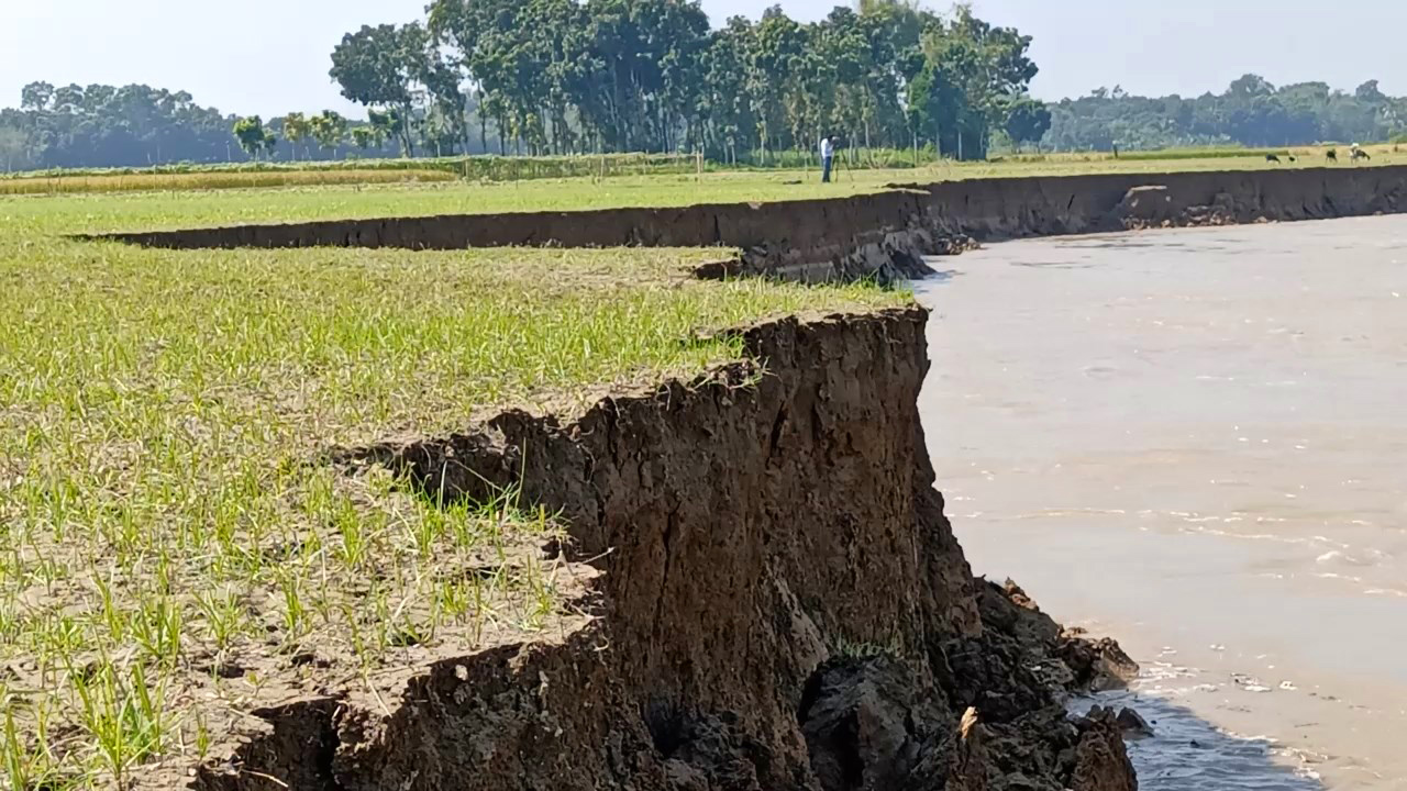 ভাঙন ঠেকাতে পারছে না বস্তা, বিলীন ফসলি জমি