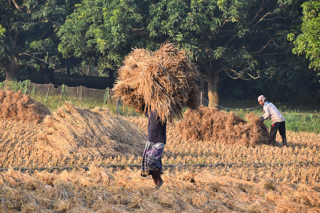 ৪০০ টাকার জন্য খাটতে হয়েছে জেল