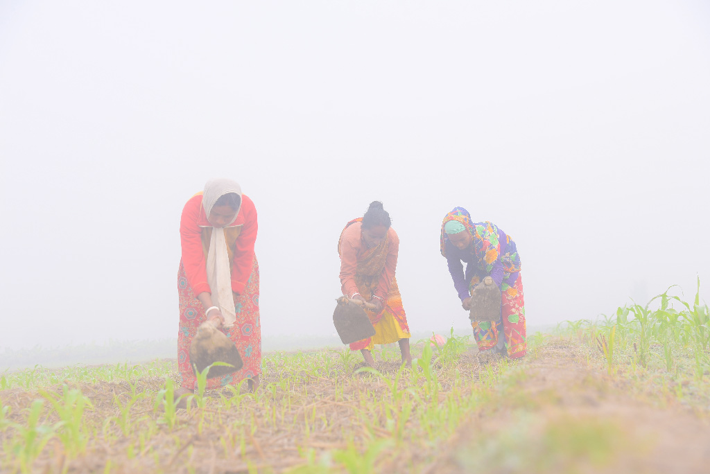 দিনের ছবি (১৪ ডিসেম্বর, ২০২২)