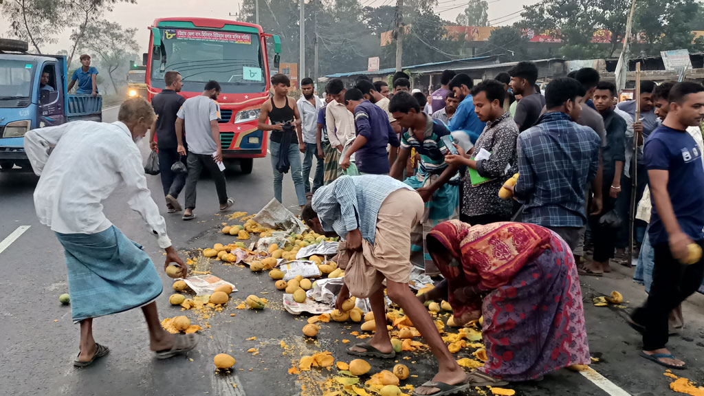 ফরমালিন মেশানোর অভিযোগ, ব্যবসায়ীর আম ছুড়ে ফেললেন যুবক