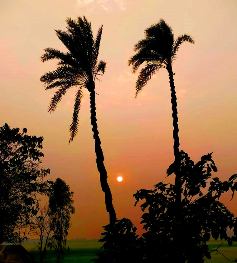 জীবন থেকে বিদায় নিচ্ছে ২০২২ সাল। ঘিওর, মানিকগঞ্জ। ছবি: আব্দুর রাজ্জাক