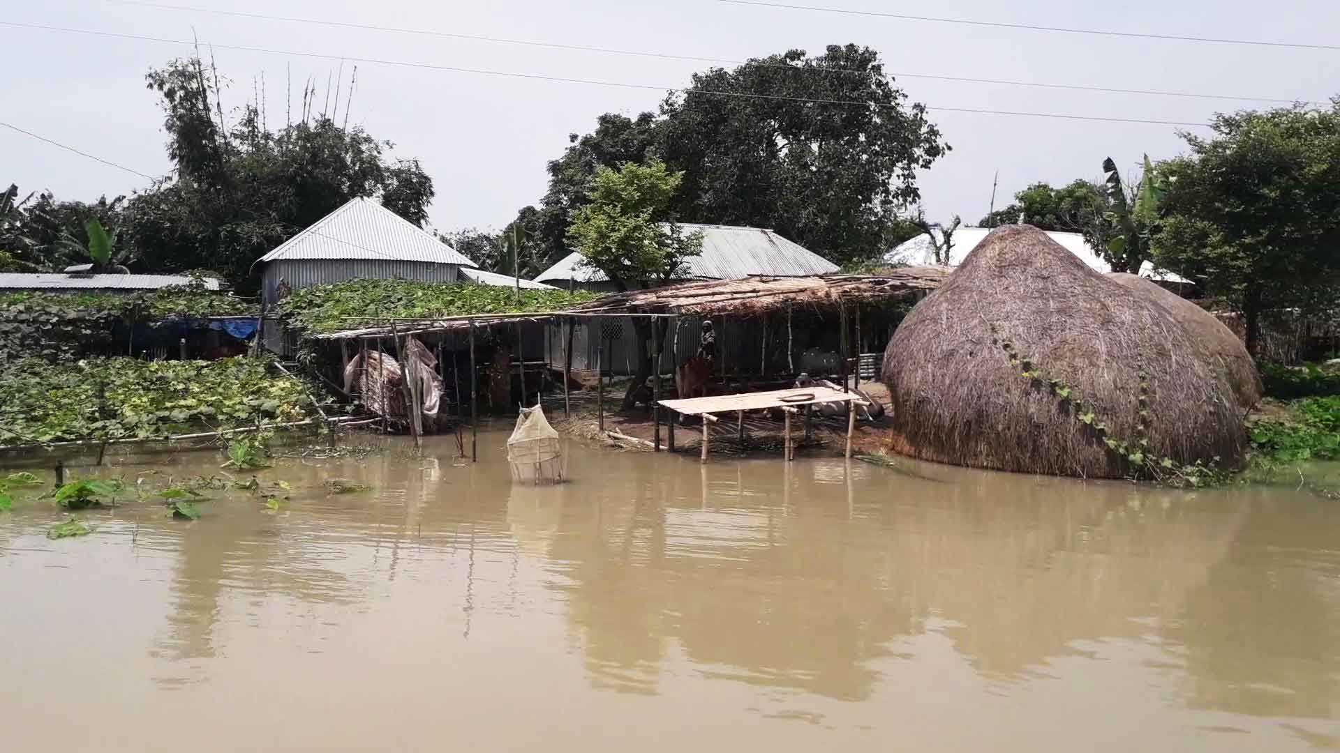 রাজবাড়ীতে পদ্মার পানি বৃদ্ধি অব্যাহত, পানিবন্দী ৬৭ গ্রামের মানুষ