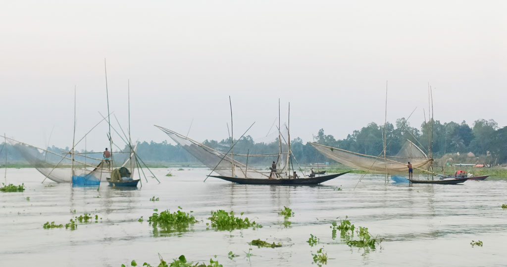 আশ্বিন মাসের শুরু, নদ-নদীর পানি কমে গেছে। খাল-বিলেও সামান্য পানি। তাই এ সময় ধরা পড়ছে অনেক মাছ। জেলেদের পাশাপাশি সাধারণ মানুষও শখের বশে নেমে পড়ছেন মাছ ধরতে। এ যেন রীতিমতো এক মাছ ধরার উৎসব। ঘিওর উপজেলার সিংজুরী ইউনিয়নের নাটুয়া বিল গ্রামের কালীগঙ্গা নদী, মানিকগঞ্জ, ১৯ সেপ্টেম্বর। ছবি: আব্দুর রাজ্জাক