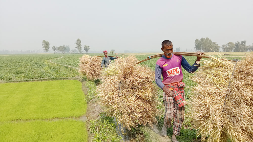 দিনের ছবি (১৫ ফেব্রুয়ারি, ২০২৩)