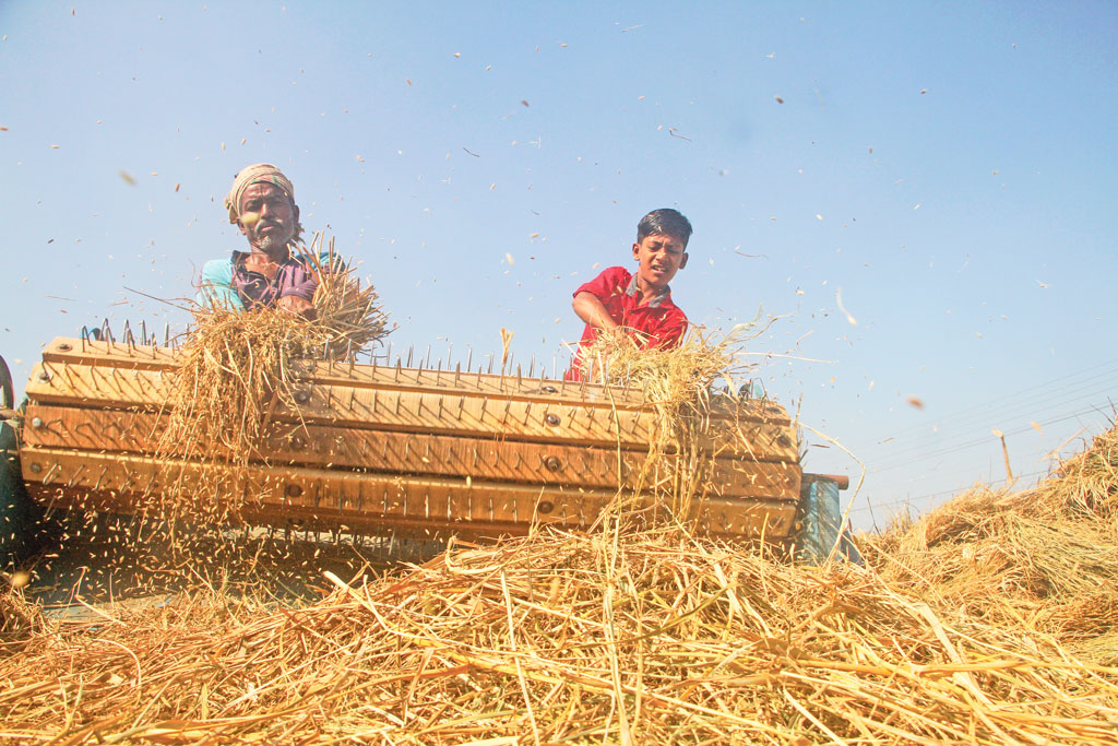 জাতীয় বাজেট ও কৃষকের প্রত্যাশা