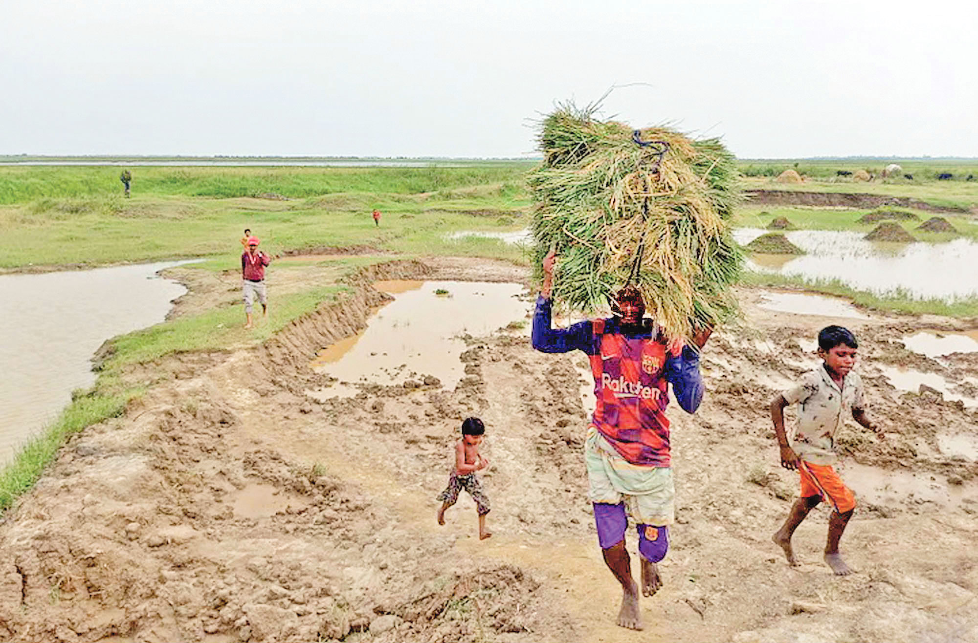 আত্মবিনাশী উন্নয়নে হাওরের সর্বনাশ