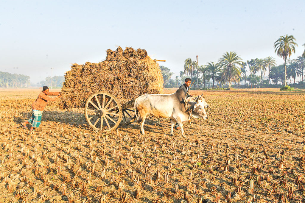 কৃষক কেন এখনো মহাজননির্ভর