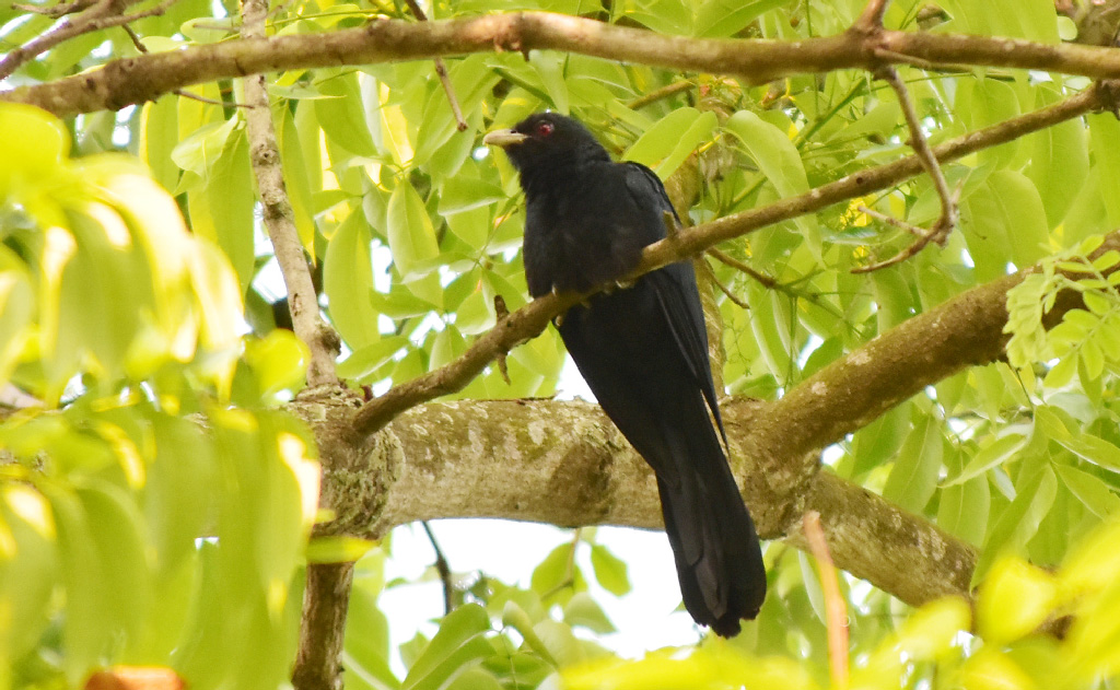 দিনের ছবি (২৩ মার্চ, ২০২৩)