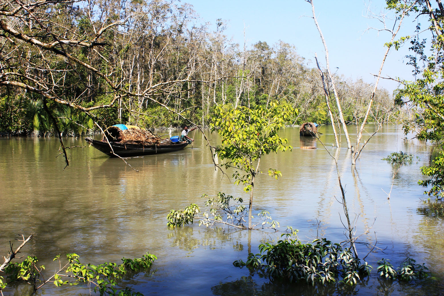 সুন্দরবনে পর্যটকবাহী ট্রলার আটক, জরিমানা