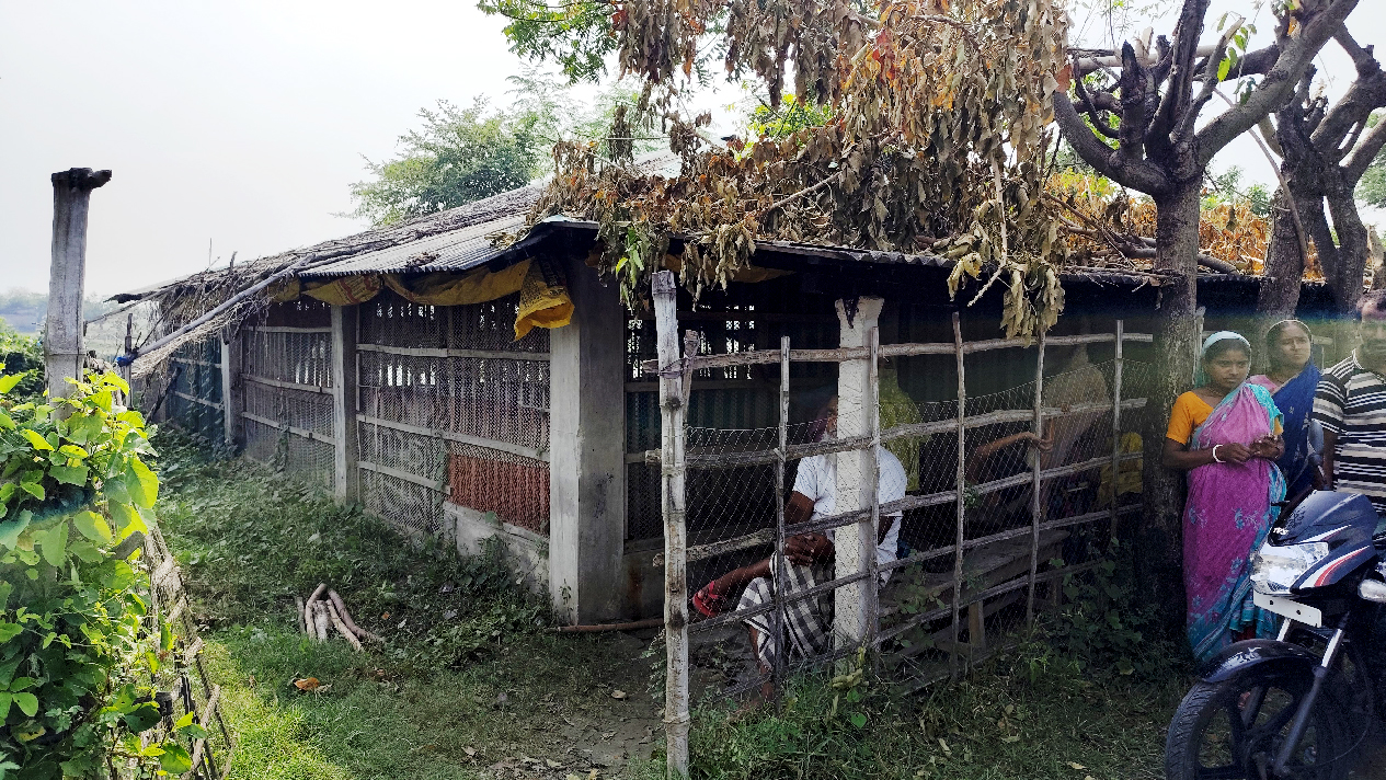 রাতে মুরগির খামার লুট, ৯৯৯-এ খবর পেয়ে পুলিশ পৌঁছাল পরদিন