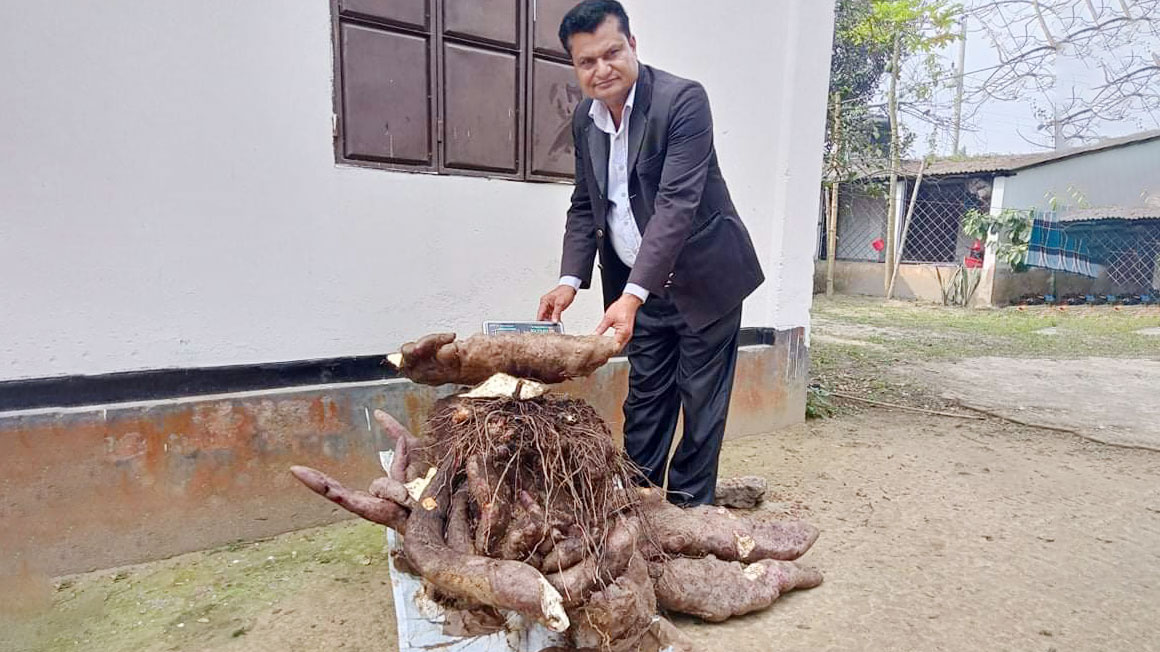 ৮৬ কেজি ওজনের মেটে আলু নিয়ে এলাকায় হইচই