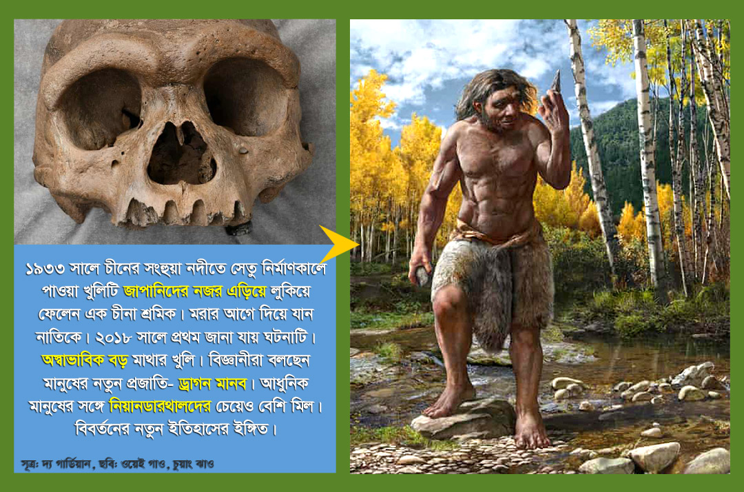 আধুনিক মানুষের পূর্বপুরুষ ‘ড্রাগন মানব’