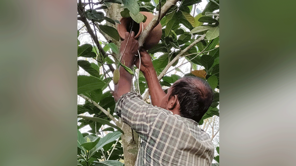 পাখি রক্ষায় এগিয়ে এলেন ইউপি চেয়ারম্যান