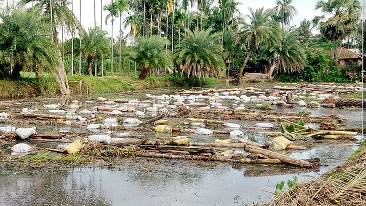 খালবিলে নেই পানি, পাট নিয়ে বিপাকে চাষিরা