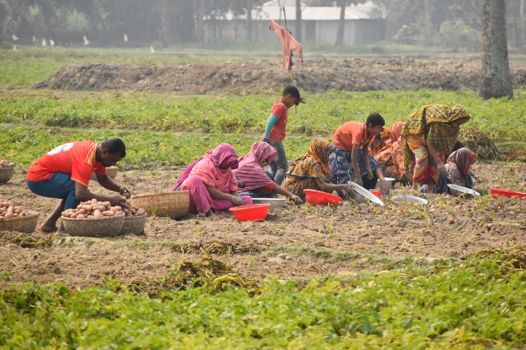 দিনের ছবি (১৯ ফেব্রুয়ারি, ২০২৩)