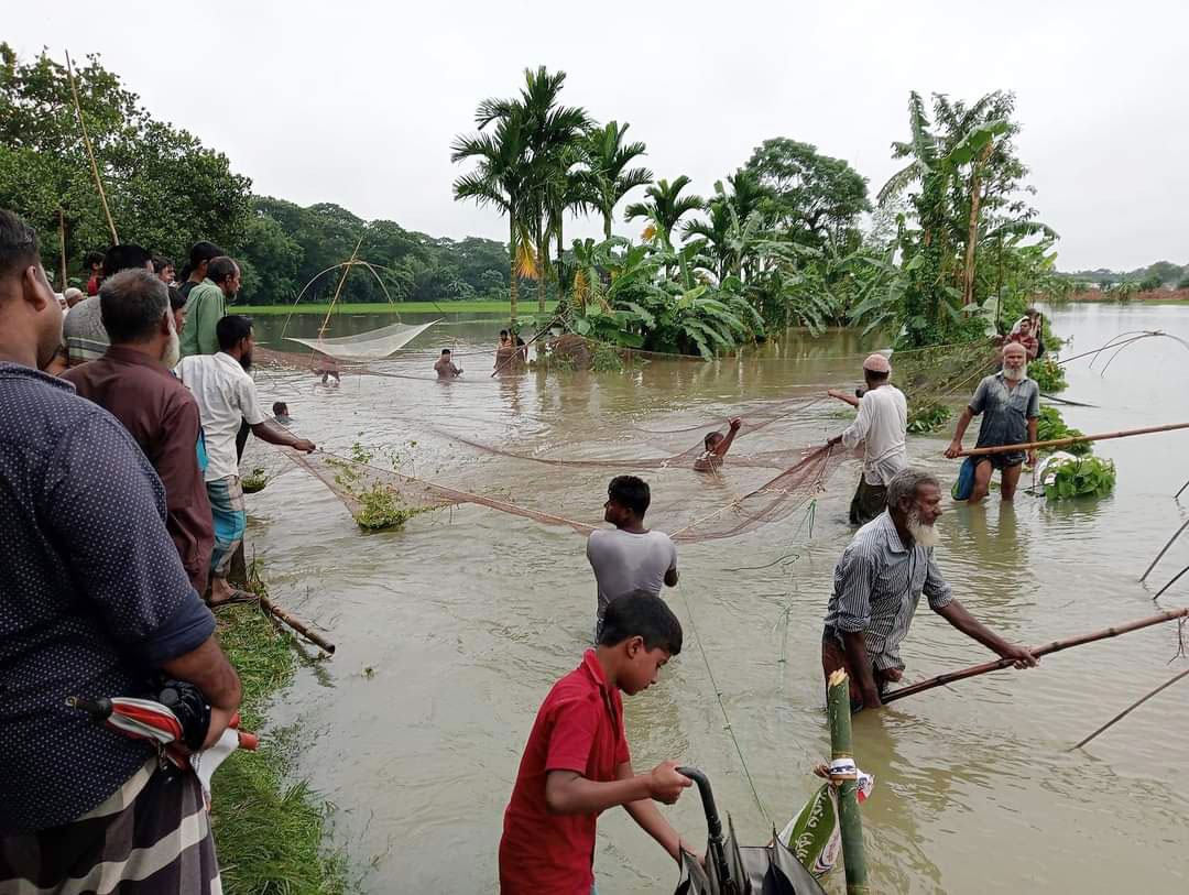 নান্দাইলে ফসলের খেত খাল-বিলে মাছ শিকারের হিড়িক