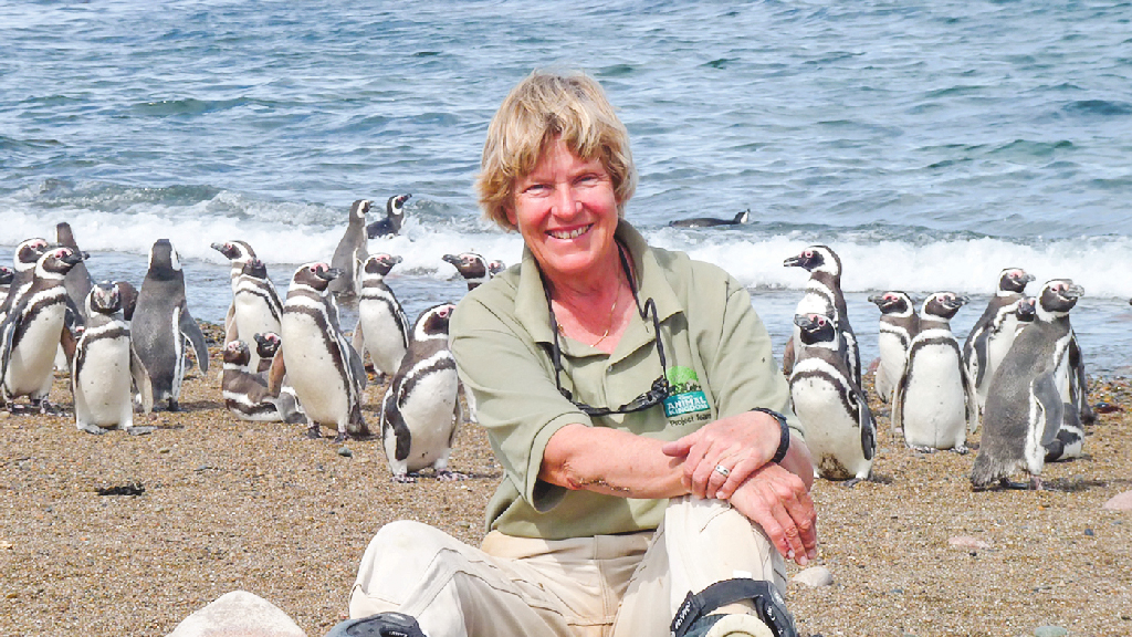 পেঙ্গুইনের জন্য নিবেদিত পি ডি বোরসমা