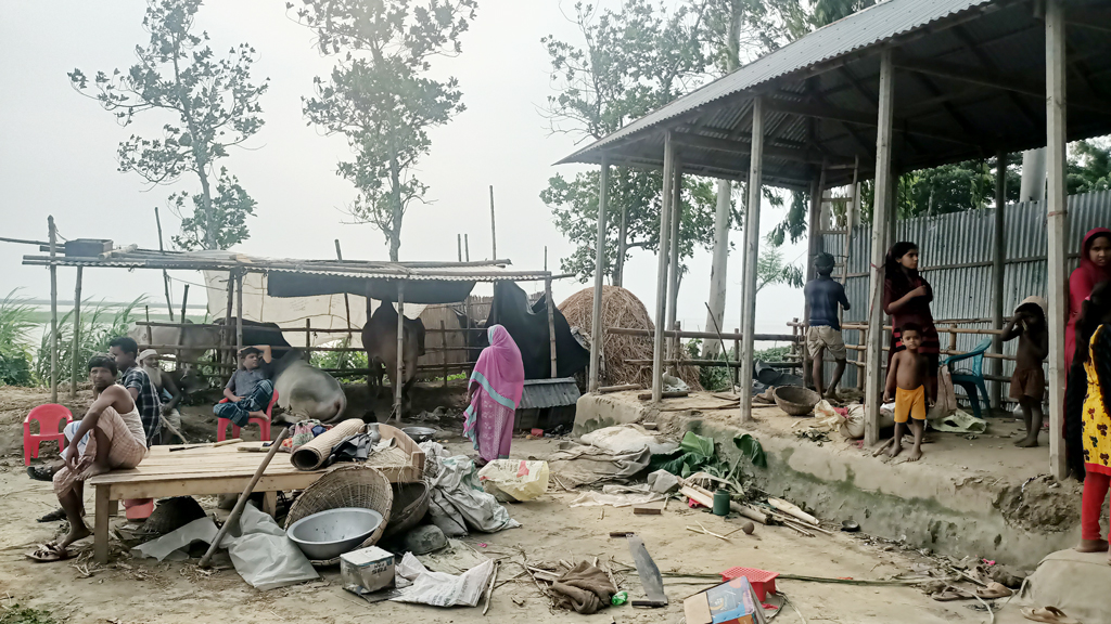 বাড়ছে যমুনার পানি, তলিয়ে যাচ্ছে নিম্নাঞ্চল