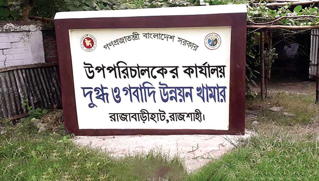 দুগ্ধ ও গবাদি উন্নয়ন খামার: সর্বোচ্চ দরেও কাজ আওয়ামী সিন্ডিকেটে