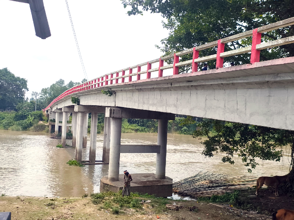 বিয়ে করতে রাজি হচ্ছেন না প্রেমিক, অভিমানে নদীতে ঝাঁপ কলেজছাত্রীর