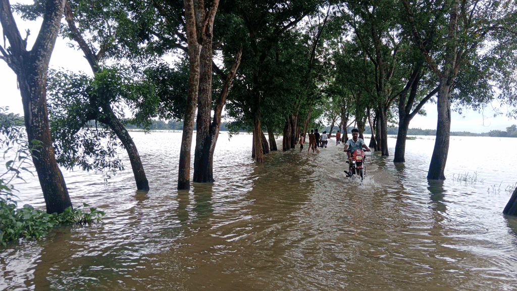 উত্তাল মনু নদ: মৌলভীবাজারে বন্যায় চার উপজেলার ৫ হাজার পরিবার পানিবন্দী