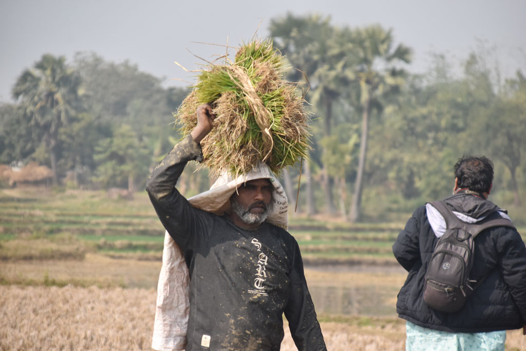 দিনের ছবি (১৭ জানুয়ারি, ২০২৬)