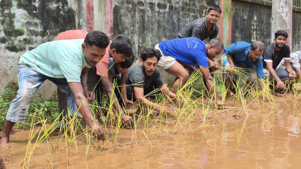 পৌরসভার সড়কে ধানের চারা রোপণ করে প্রতিবাদ