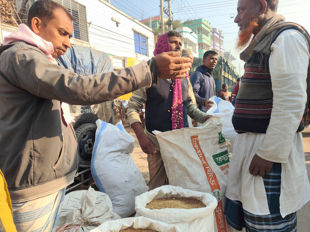 শেরপুরে আমনের বাজারদরে হতাশ কৃষক