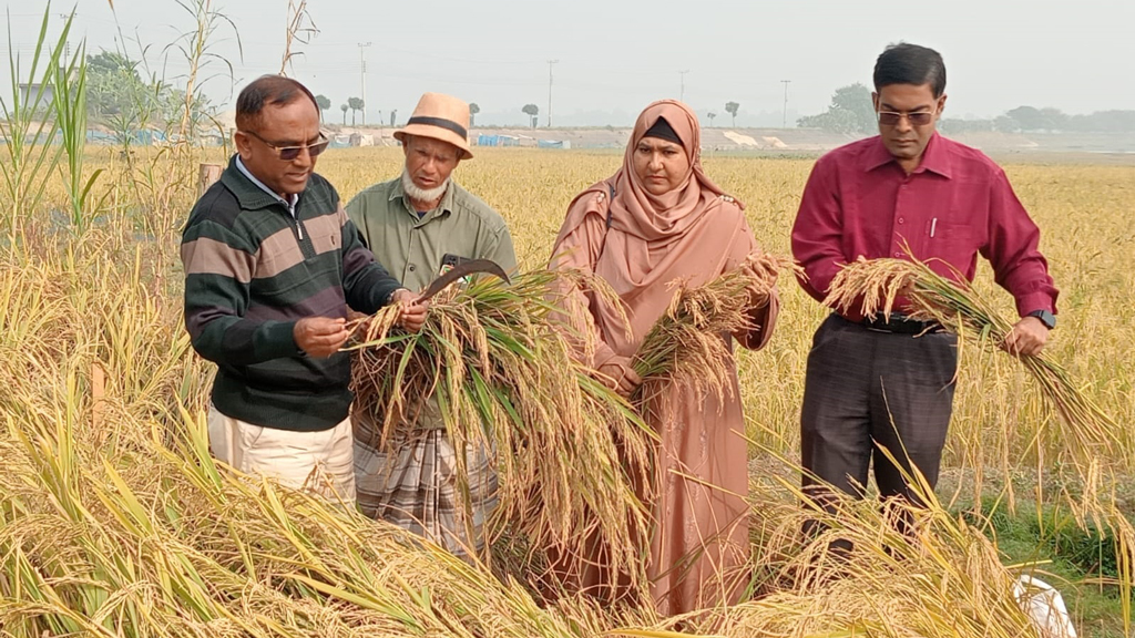 এবার সবচেয়ে চিকন ধান উদ্ভাবনের দাবি স্বশিক্ষিত কৃষিবিজ্ঞানী নূর মোহাম্মদের