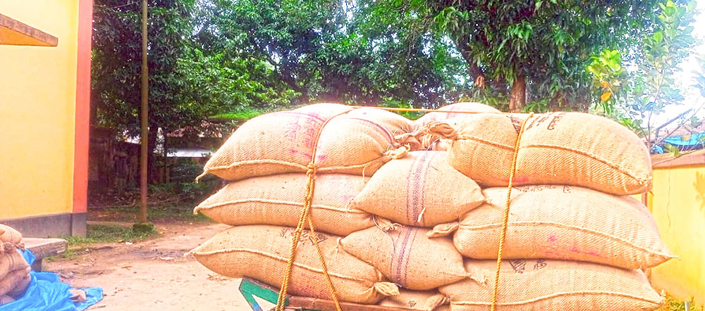 সিন্ডিকেটে ধান ক্রয় ক্ষতিগ্রস্ত কৃষকেরা