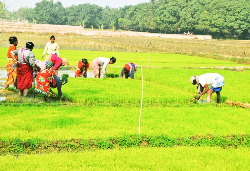 দিনের ছবি (২০ জানুয়ারি ২০২৫)