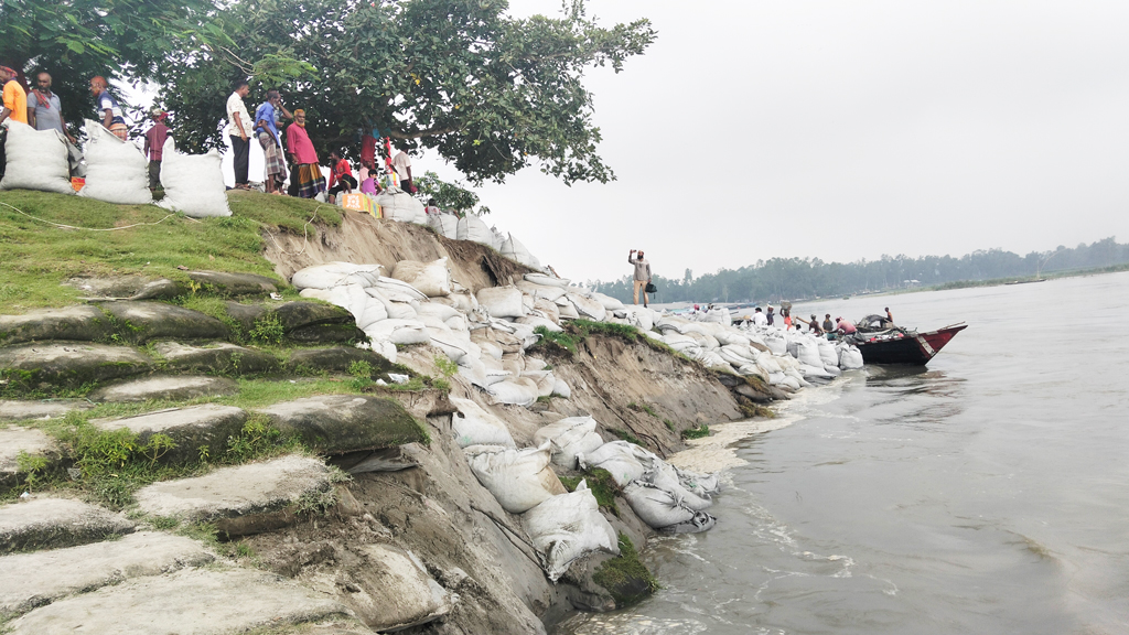 ধুনটে যমুনার স্পারের ৩০ মিটার ধসে নদীগর্ভে বিলীন