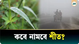 
কোন কোন জেলায় আগে নামবে শীত, জানিয়ে দিল আবহাওয়া অধিদপ্তর 