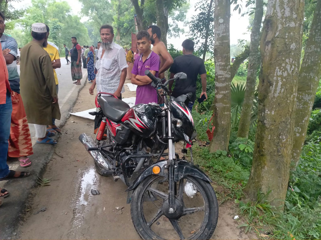 ডাক্তার দেখাতে যাওয়ার পথে পিকআপের ধাক্কায় মা-ছেলে নিহত, আহত স্বামী