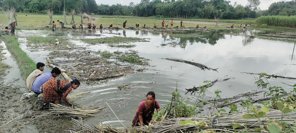 পাট জাগ দিতে ভোগান্তি