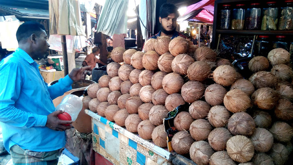 দুর্গাপূজা ঘিরে ফুলবাড়ীতে নারকেলের বাজার জমজমাট, কমেছে দাম