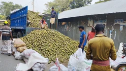 দিনের ছবি (২১ অক্টোবর, ২০২৬)